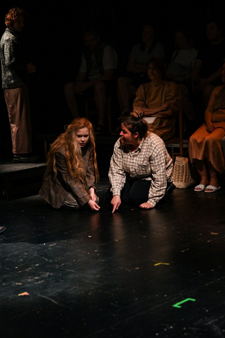 FEDIM 2025 4_Dogville
