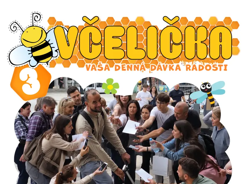 Včelička 3 800x600